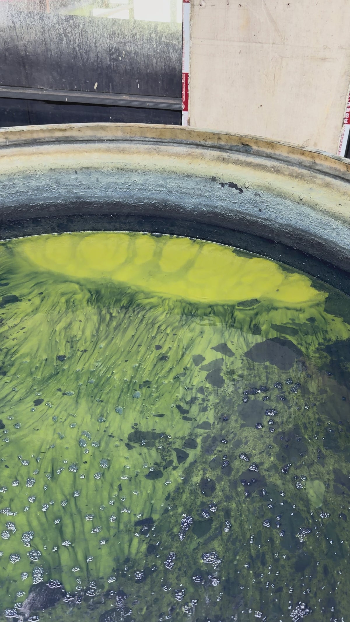 植物染传统调节技术指导